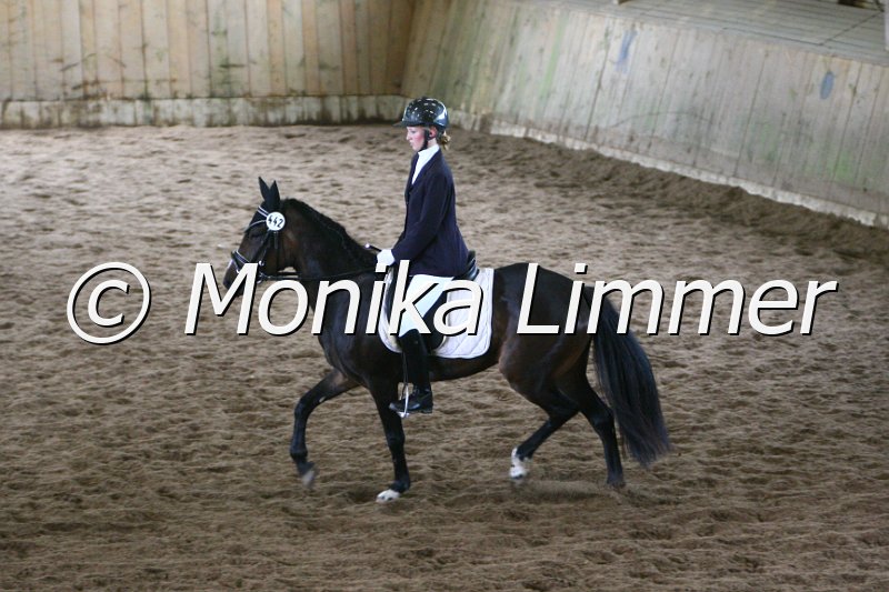 006M4457_Dressur E.JPG